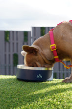 Cargar imagen en el visor de la galería, Pet Bowl Azul