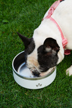 Cargar imagen en el visor de la galería, Pet Bowl Blanco