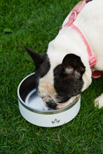 Cargar imagen en el visor de la galería, Pet Bowl Blanco (Nuevo)
