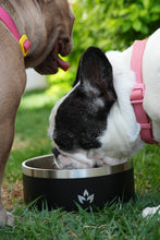 Cargar imagen en el visor de la galería, Pet Bowl Negro (Nuevo)
