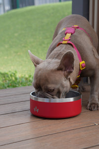 Pet Bowl Rojo (Nuevo)