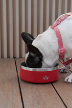 Cargar imagen en el visor de la galería, Pet Bowl Rojo (Nuevo)
