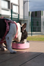 Cargar imagen en el visor de la galería, Pet Bowl Rosado (Nuevo)
