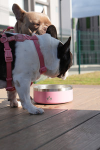 Pet Bowl Rosado (Nuevo)