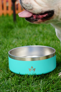 Pet Bowl Turquesa (Nuevo)