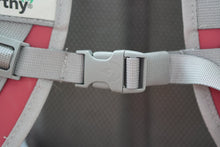 Cargar imagen en el visor de la galería, Back Peak Cooler Roja 20L

