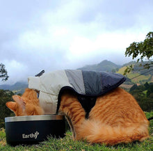 Cargar imagen en el visor de la galería, Pet Bowl Negro
